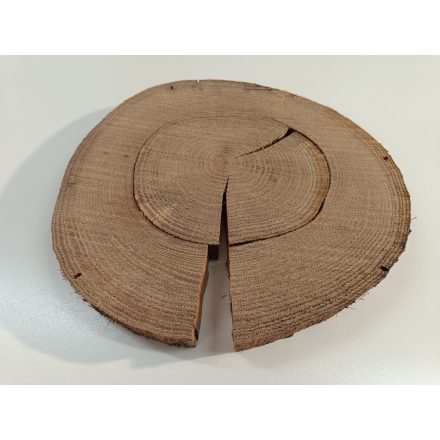 Fa korong Tölgy 30 x 3 cm