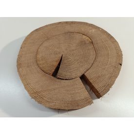 Fa korong Tölgy 30 x 4 cm