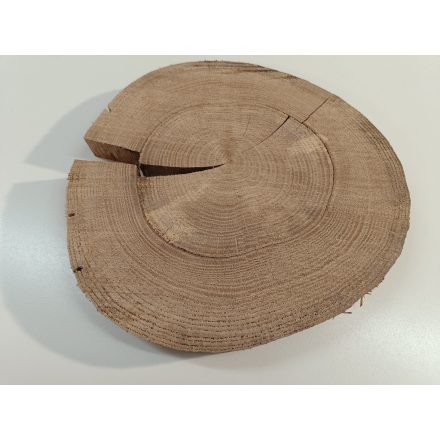 Fa korong Tölgy 30 x 3 cm