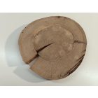 Fa korong Tölgy 30 x 3 cm