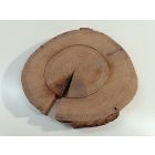 Fa korong Tölgy 30 x 3 cm