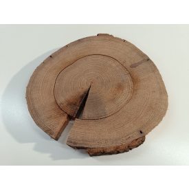 Fa korong Tölgy 30 x 3 cm