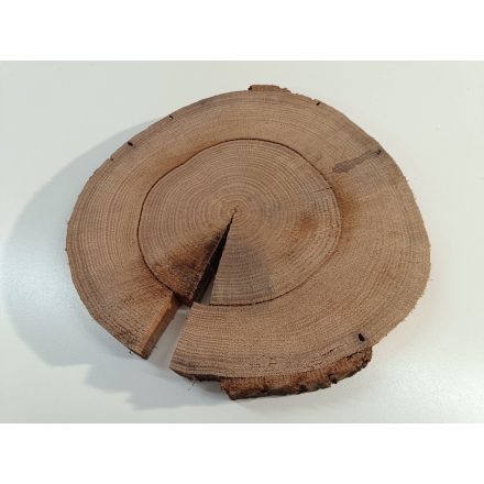 Fa korong Tölgy 30 x 3 cm