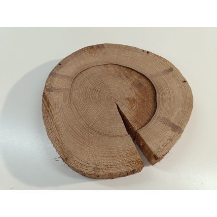 Fa korong Tölgy 30 x 4 cm