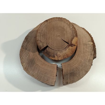 Fa korong Tölgy 37 x 4 cm