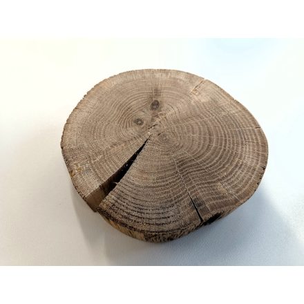 Fa korong Tölgy 18 x 4 cm