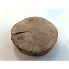 Fa korong Tölgy 18 x 4 cm