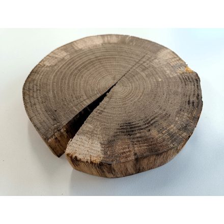 Fa korong Tölgy 22 x 4 cm