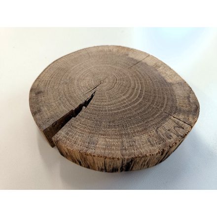 Fa korong Tölgy 19 x 4 cm