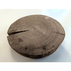 Fa korong Tölgy 21 x 4 cm