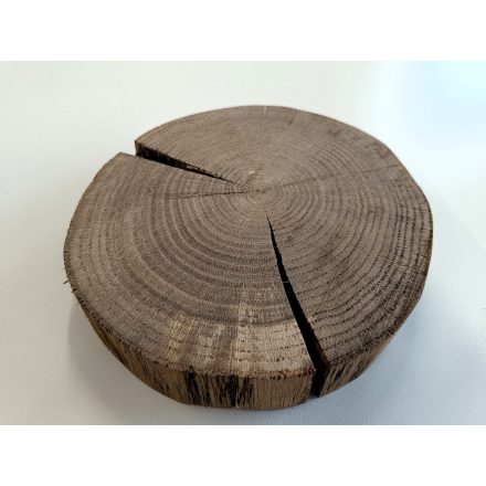 Fa korong Tölgy 21 x 4 cm