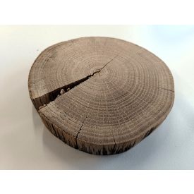 Fa korong Tölgy 18 x 3 cm