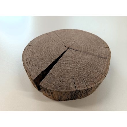 Fa korong Tölgy 17 x 4 cm