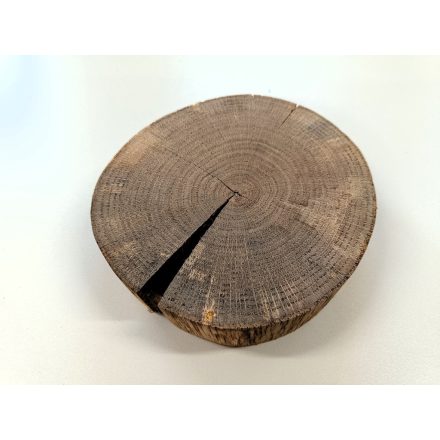 Fa korong Tölgy 18 x 4 cm
