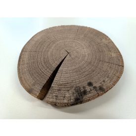 Fa korong Tölgy 19 x 3 cm