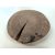Fa korong Tölgy 19 x 3 cm