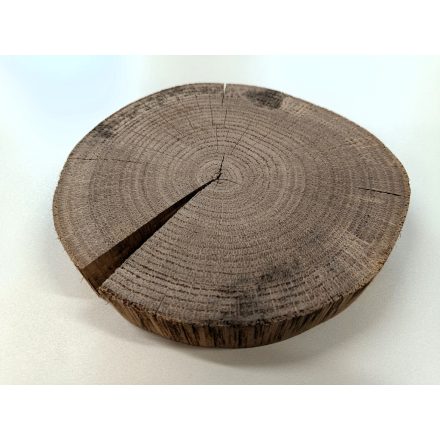 Fa korong Tölgy 19 x 3 cm