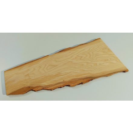 Kőris hobbi fa 50 x 20 x 1,2 cm