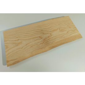 Kőris hobbi fa 60 x 26 x 2 cm