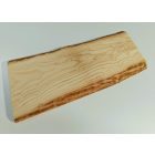 Kőris hobbi fa 60 x 26 x 2 cm