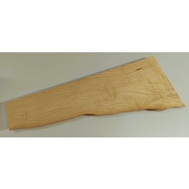 Kőris hobbi fa 70 x 20 x 2 cm